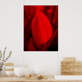 RED TULIP-Poster Poster (Keuken)