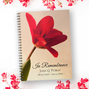 Red Tulip Spring Funeral Memorial Livre d'invité