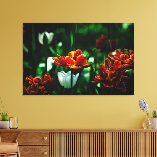 Red Tulip - Zijne Majesteit de Koning Canvas Afdruk (Insitu (Woonkamer))