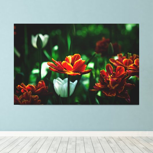 Red Tulip - Zijne Majesteit de Koning Canvas Afdruk (Insitu (Houten vloer))