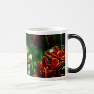 Red Tulip - Zijne Majesteit de Koning Magische Mok