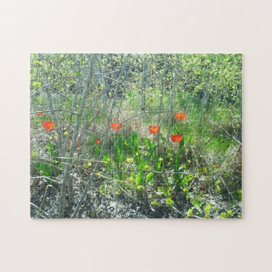 Red Tulips Aspen Trees Jigzaag Puzzle | Uitdaging Legpuzzel (Horizontaal)