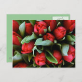 Red Tulips Bouquet Briefkaart (Voorkant / Achterkant)