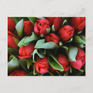 Red Tulips Bouquet Briefkaart