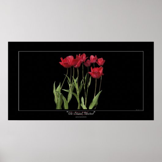 RED TULIPS Inspirerend Art Poster (Voorkant)
