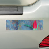 Red Tulp op blauw grijze laat Bumpersticker (Op auto)