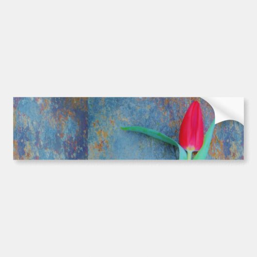 Red Tulp op blauw grijze laat Bumpersticker (Voorkant)