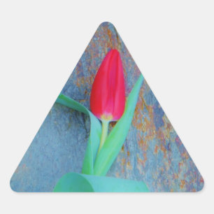 Red Tulp op blauw grijze laat Driehoek Sticker