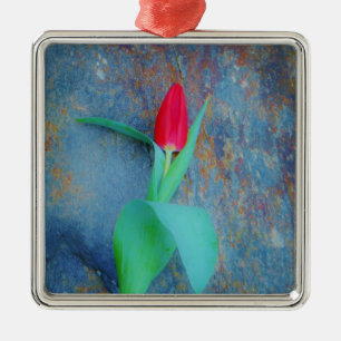 Red Tulp op blauw grijze laat Metalen Ornament