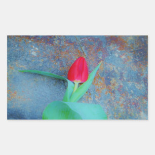 Red Tulp op blauw grijze laat Rechthoekige Sticker