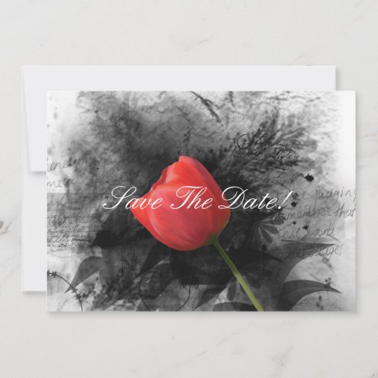 Red Tulp slaat de datum op Save The Date (Voorkant)