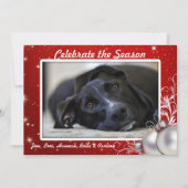 Red Twinkings Stars Noël Gros Cartes photos (Devant)