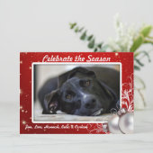 Red Twinkings Stars Noël Gros Cartes photos (Debout devant)