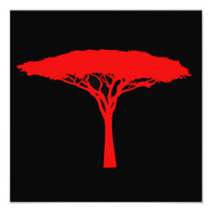 Red Umbrella Tree Foto Afdruk