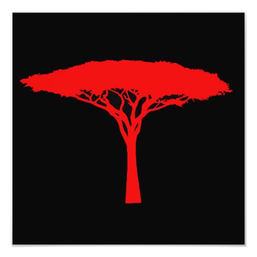 Red Umbrella Tree Foto Afdruk (Voorkant)