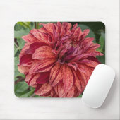 Red Variegated Dahlia Bloom Floral Muismat (Met muis)