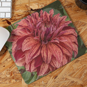 Red Variegated Dahlia Bloom Floral Muismat