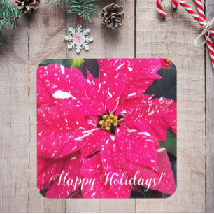 Red Variegated Poinsettia Floral Holiday Bier Onderzetter