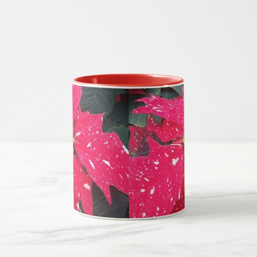 Red Variegated Poinsettia Holiday Mok (Midden)