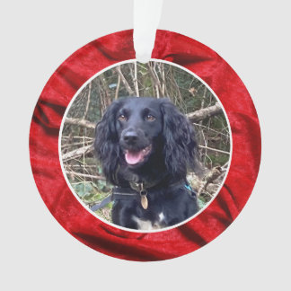 Red Velvet Pet Photo Christmas