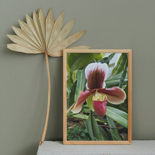 Red Venus Slipper Orchid Floral Foto Afdruk