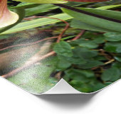 Red Venus Slipper Orchid Floral Foto Afdruk (Hoek)