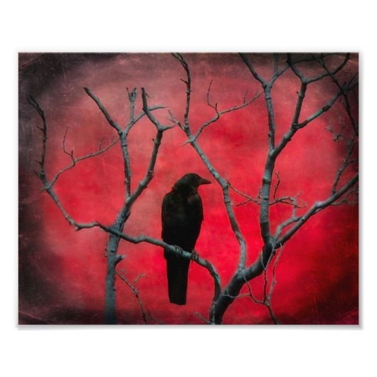 Red Vision Foto Afdruk (Voorkant)