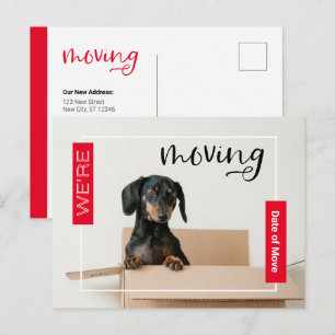 Red we verplaatsen Dachshund Dog in Box Briefkaart