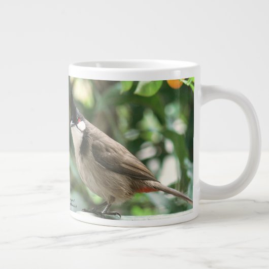 Red-Whiskered Bulbul 20 oz. Mok van RoseWrites (Rechts)