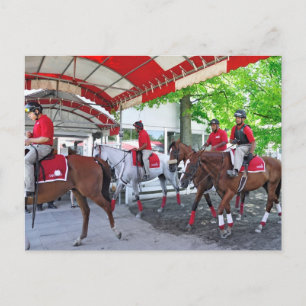RED- WHITE & BAY BRIEFKAART