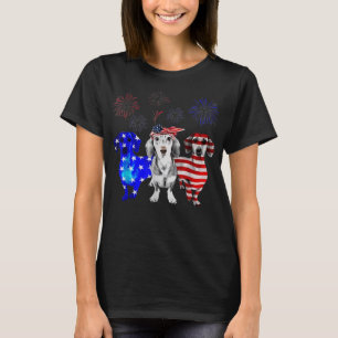 Red White Blue Dachshund USA Flag Firework 4th Of T-shirt
