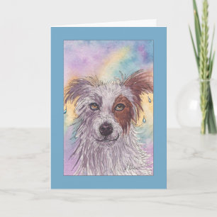 Red & White Border Collie, Dripping Wet, Blank Kaart
