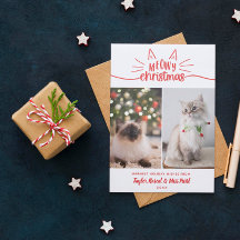 Red White Meowy Kerstmis 2 Cat Foto's Kerstmis