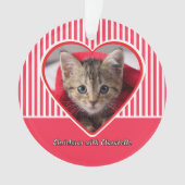 Red & White Stripes Custom Cat Photo Heart Holiday (devant)