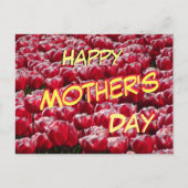 Red White Tulps Pattern Moederdag Briefkaart (Voorkant)
