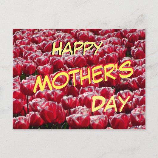 Red White Tulps Pattern Moederdag Briefkaart (Voorkant)