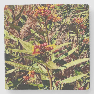 RED WI WILDFLOWER in HERFST Stenen Onderzetter