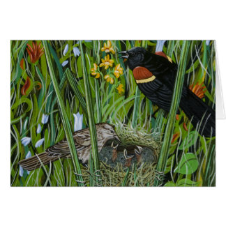 Red Wing Blackbird