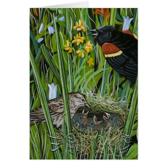 Red Wing Blackbird (Devant)