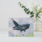 Red Wing Blackbird Briefkaart (Staand voorkant)