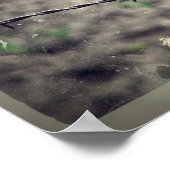 Red Wing Blackbird Faux Poster (Hoek)