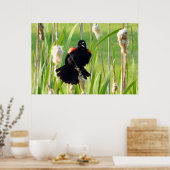 Red Wing Blackbird op Reeds Poster (Keuken)