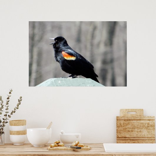Red Winged Blackbird Call to Spring Poster (Keuken)