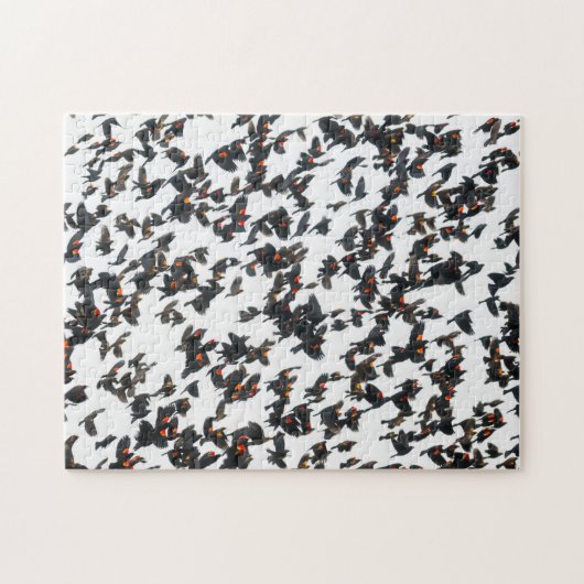 Red Winged Blackbird Murmurmurmuration Puzzle Legpuzzel (Horizontaal)