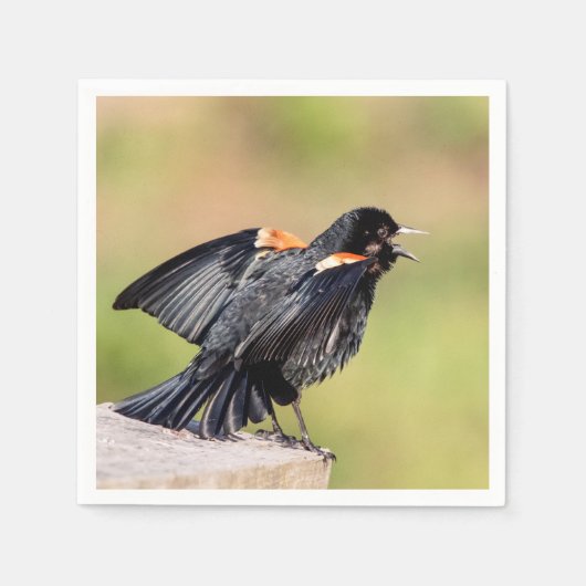 Red Winged Blackbird Singing Servetten (Voorkant)