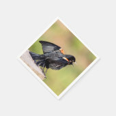 Red Winged Blackbird Singing Servetten (Hoek)