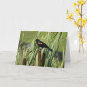 Red-Winged Merel Kaart (Gele Bloem)