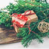 Red Winter Wonderland Merry Kerstry Bedankjes Labels