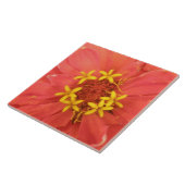 Red Zinnia Macro Tile Tegeltje (Zijkant)