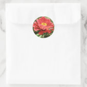 Red Zinnia Stickers (Tas)